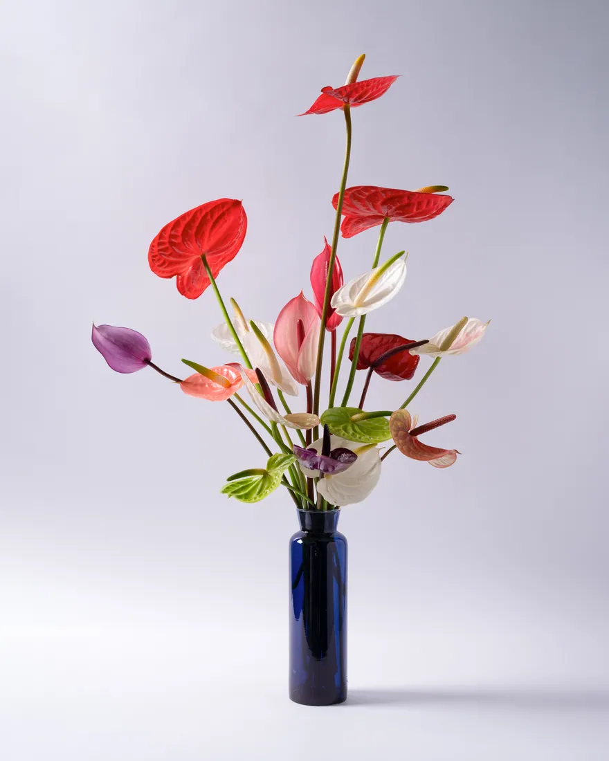Product photograph 19